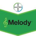 MELODY COMPACT 49 WG (100 g)