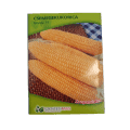 Csemegekukorica Golda F1 (50 szem)