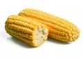 Csemegekukorica Caramelo F1 (5000 szem)