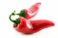 Fűszerpaprika Kalocsai 622 (100000 szem)