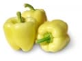 Paprika Apolló F1 (500 szem)