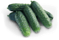Uborka Karaván F1 (500 szem)