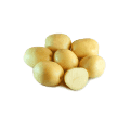Burgonya vetőgumó Impala (50 szem)