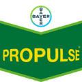 PROPULSE (5l)