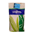 SY Zephir kukorica vetőmag (50 EM)