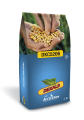 DKC5206 kukorica vetőmag (80 EM)