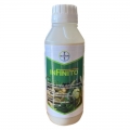 INFINITO (1l)