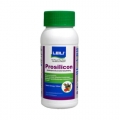 Prosilicon (1 l)