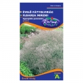 Évelő fátyolvirág (Gypsophilla paniculata) fehér (0,25 g)