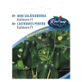 Salátauborka Kalimero F1 (mini) (10 szem)