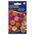 Legényvirág (Zinnia elegans) Liliput színkeverék (2 g)
