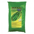 Zöldborsó, velő, középérésű Kelvedon csodája (500 g)