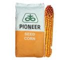 1737655758_22499_pioneer_kukorica