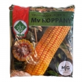 MV Koppány kukorica vetőmag (1 kg)