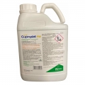 CUPROXAT FW (5l)