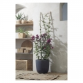 Echelle Bamboo növénylétra (60x20 cm)