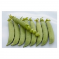 Zöldborsó Somerwood 18,6 kg (100 EM)