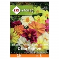 Dália Mignon színkeverék (0,5 g)