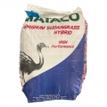Szudánifű Mataco (25 kg)